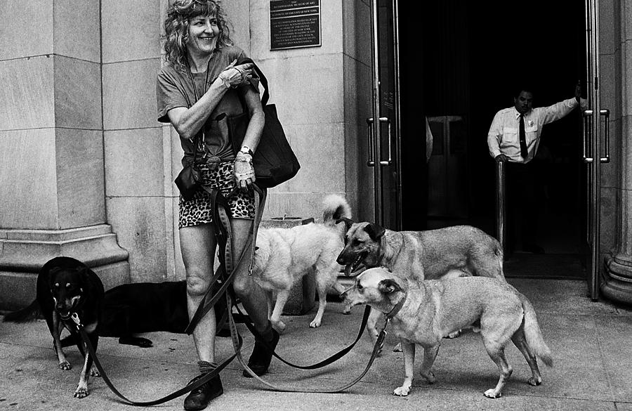 Dog Photograph - Dog Walk (from The Series "boy Meets Girl") by Dieter Matthes