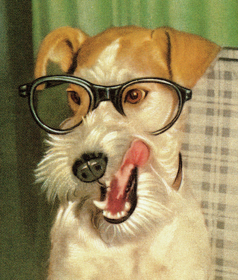 Vintage Drawing - Dog Wearing Glasses by CSA Images