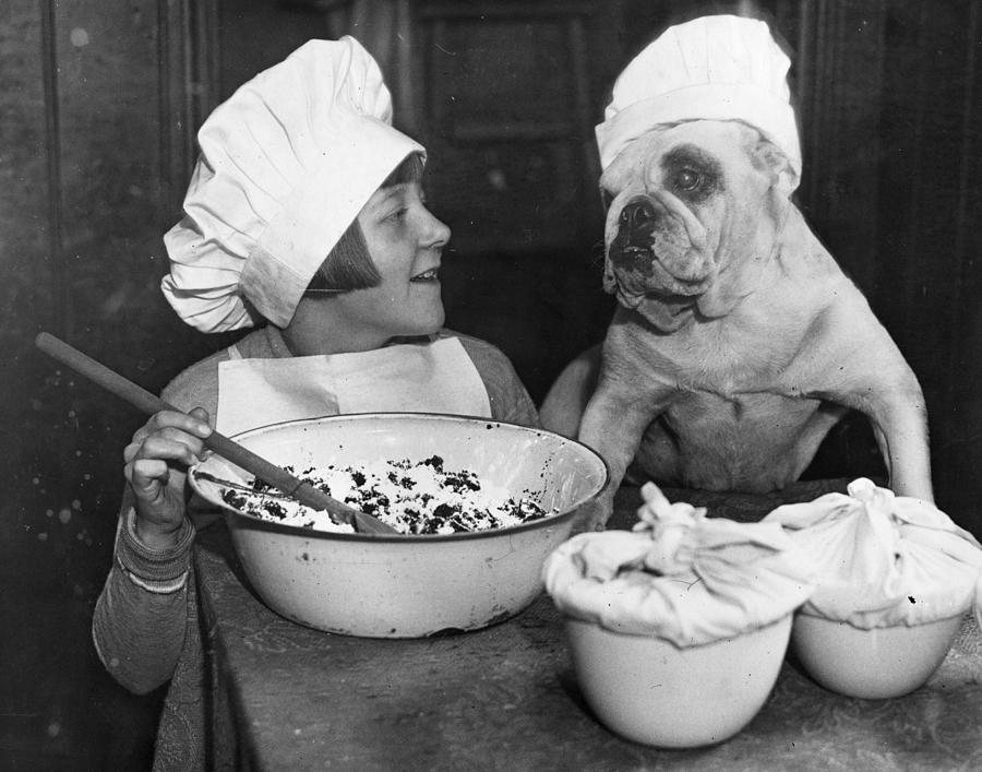 Doggy Chef Photograph by Fox Photos