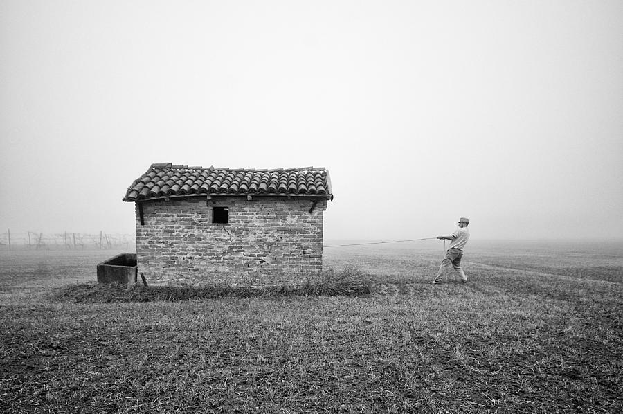 Doghouse For Big Dogs Photograph by Carlo Ferrara