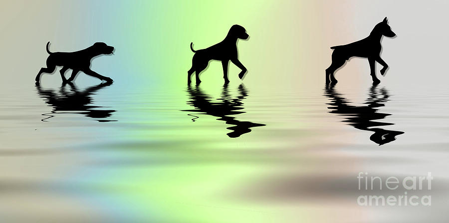 Dogs by Elaine Manley Dogs by Elaine Manley
