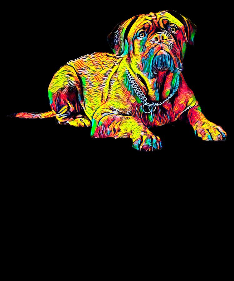 what color is a french mastiff