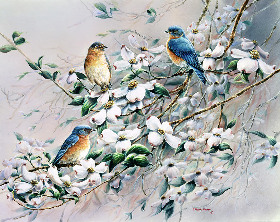 Dogwood Blues Painting by Wanda Mumm - Fine Art America