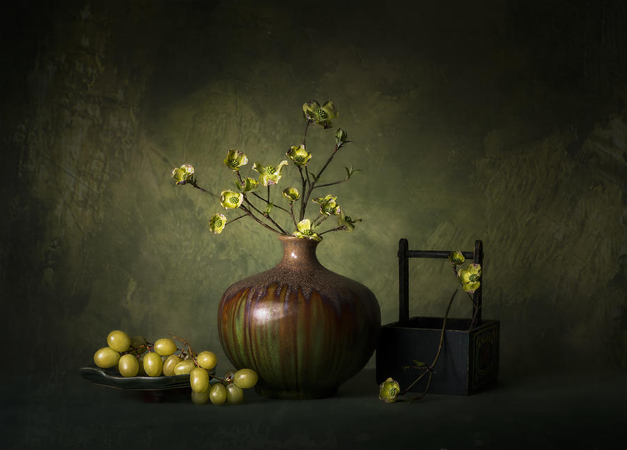 Dogwood Flower  And Green Mood Photograph by John-mei Zhong
