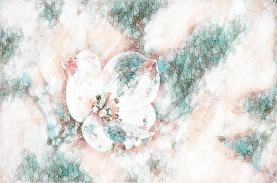 Dogwood Painterly  Photograph by Andrea Anderegg