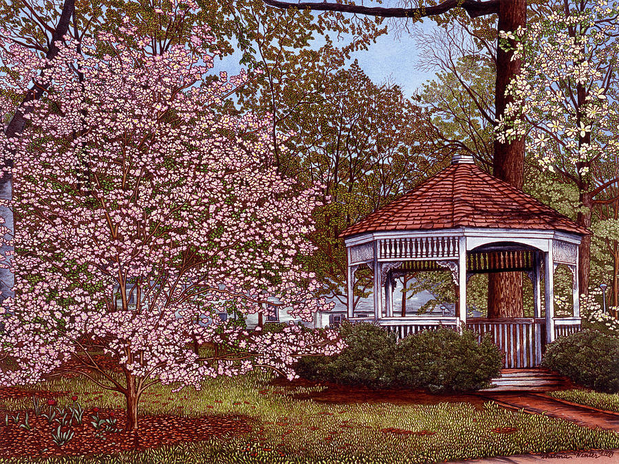 Dogwood Painting by Thelma Winter