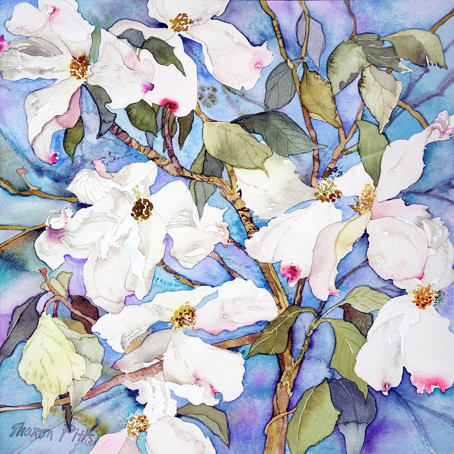Flower Painting - Dogwoods, White by Sharon Pitts