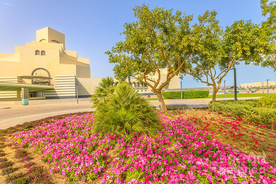 Doha park along Doha Bay Photograph by Benny Marty