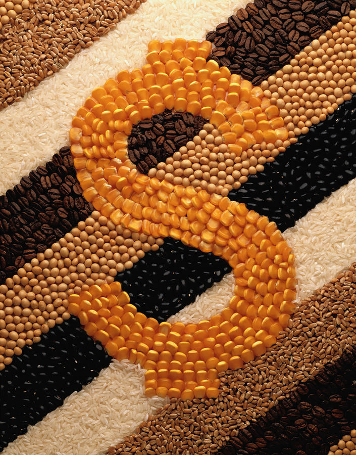 Dollar Sign In Beans And Grains Photograph by Milton Montenegro