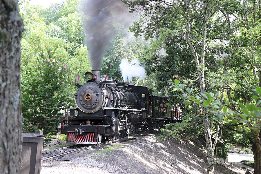 Dollywood Express Photograph by Dwight Cook
