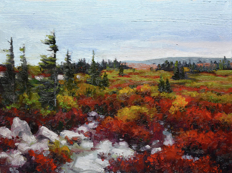Dolly Sods Painting by Armand Cabrera