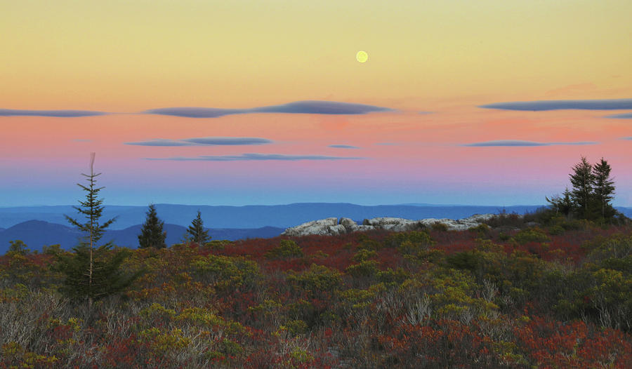 Dolly Sods Moonrise Photograph by Art Cole