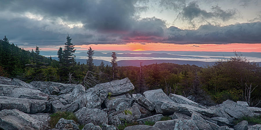 Dolly Sods Wilderness Area, WV Photograph by Jack Nevitt - Fine Art America