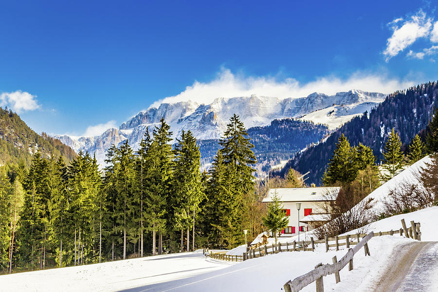 Dolomite mountains covered with white snow and green conifers Photograph by Vivida Photo PC