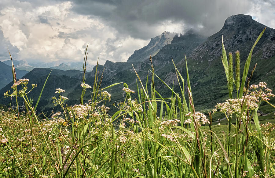Dolomites 7120184 Photograph by Deidre Elzer-Lento