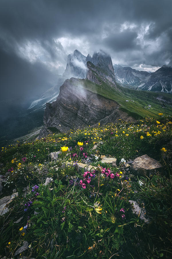 Dolomites - Seceda 2500 Photograph by Jean Claude Castor