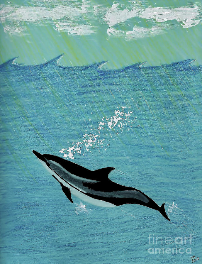 Wildlife Drawing - Dolphin by D Hackett