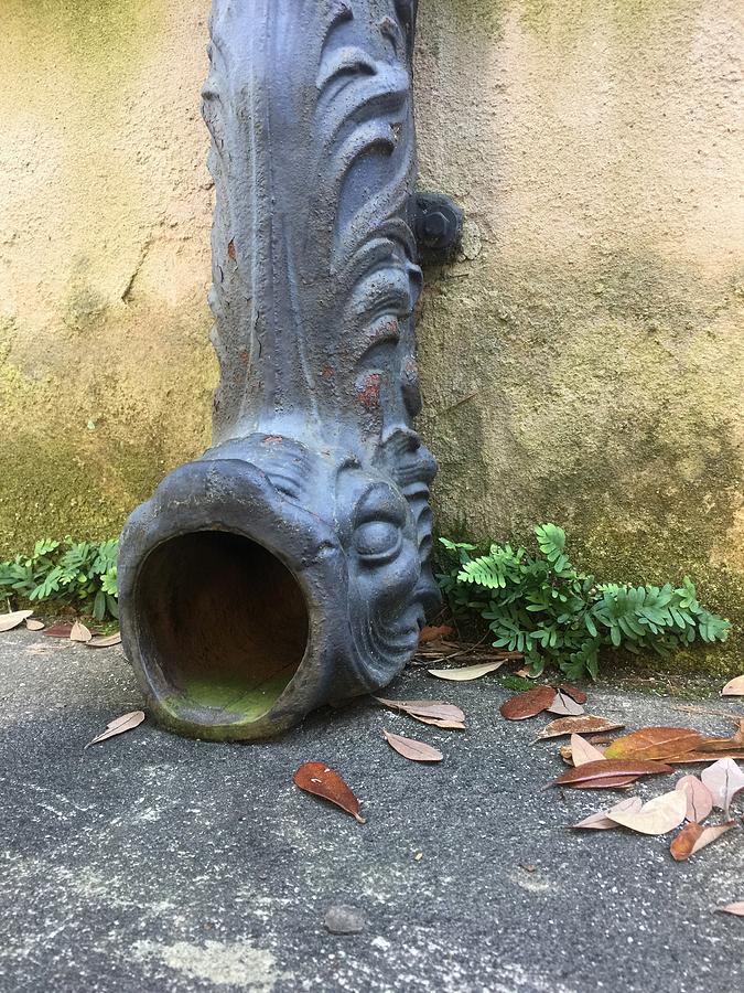 Dolphin Downspout by Bradford Martin Dolphin Downspout by Bradford Martin