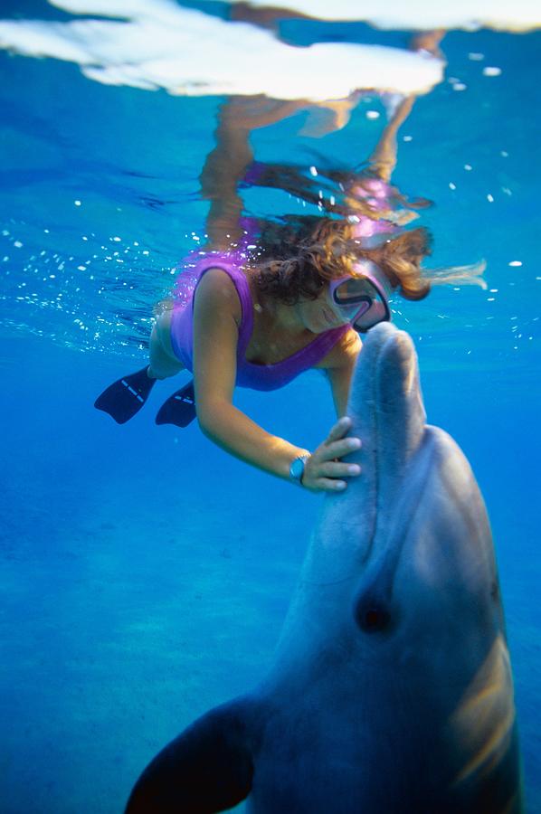 Dolphin Digital Art by Manfred Bortoli