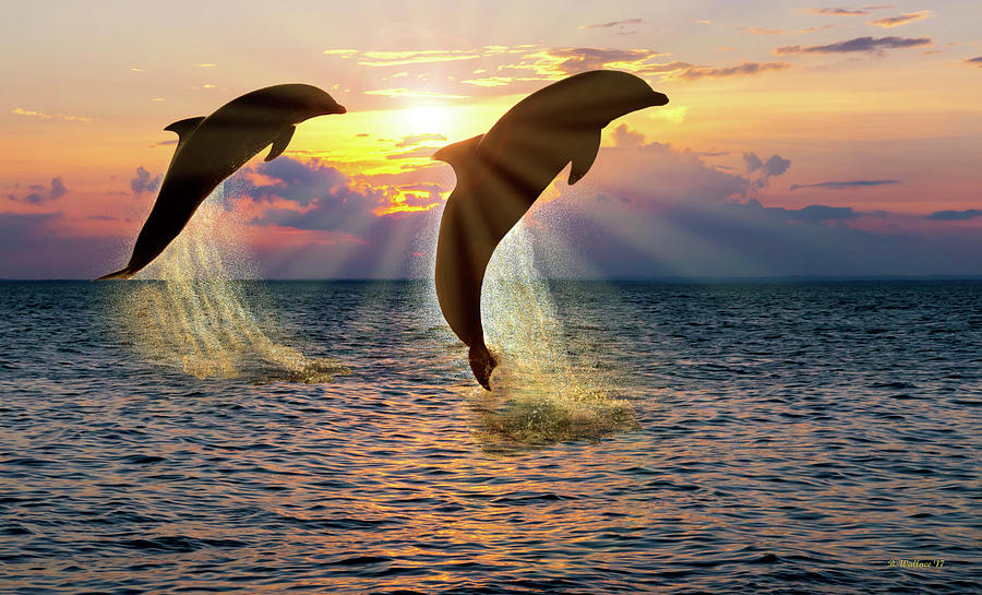 Dolphin Silhouettes At Sunset Photograph by Brian Wallace