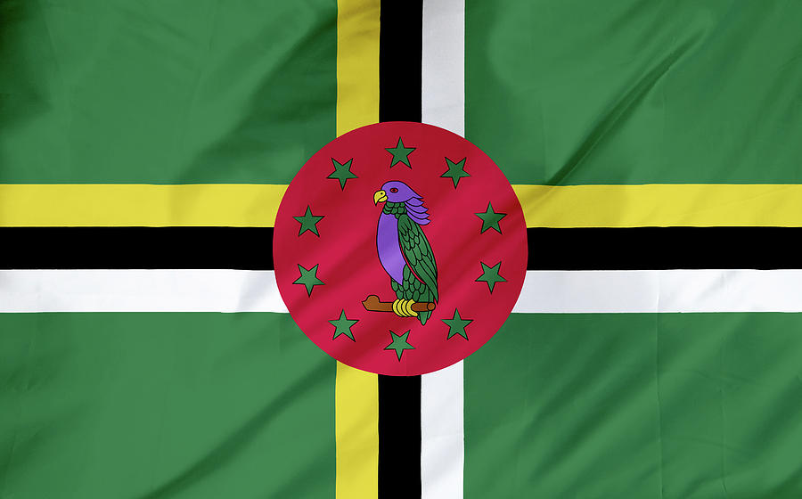 Dominica Flag Digital Art by Hasan Ahmed | Fine Art America