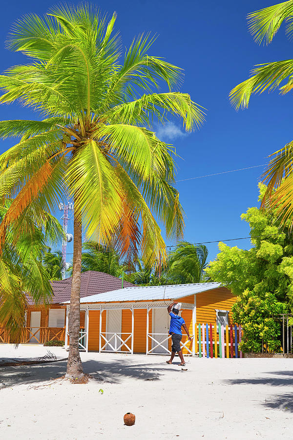 Dominican Republic, La Altagracia, Saona Island, Mano Juan Village ...