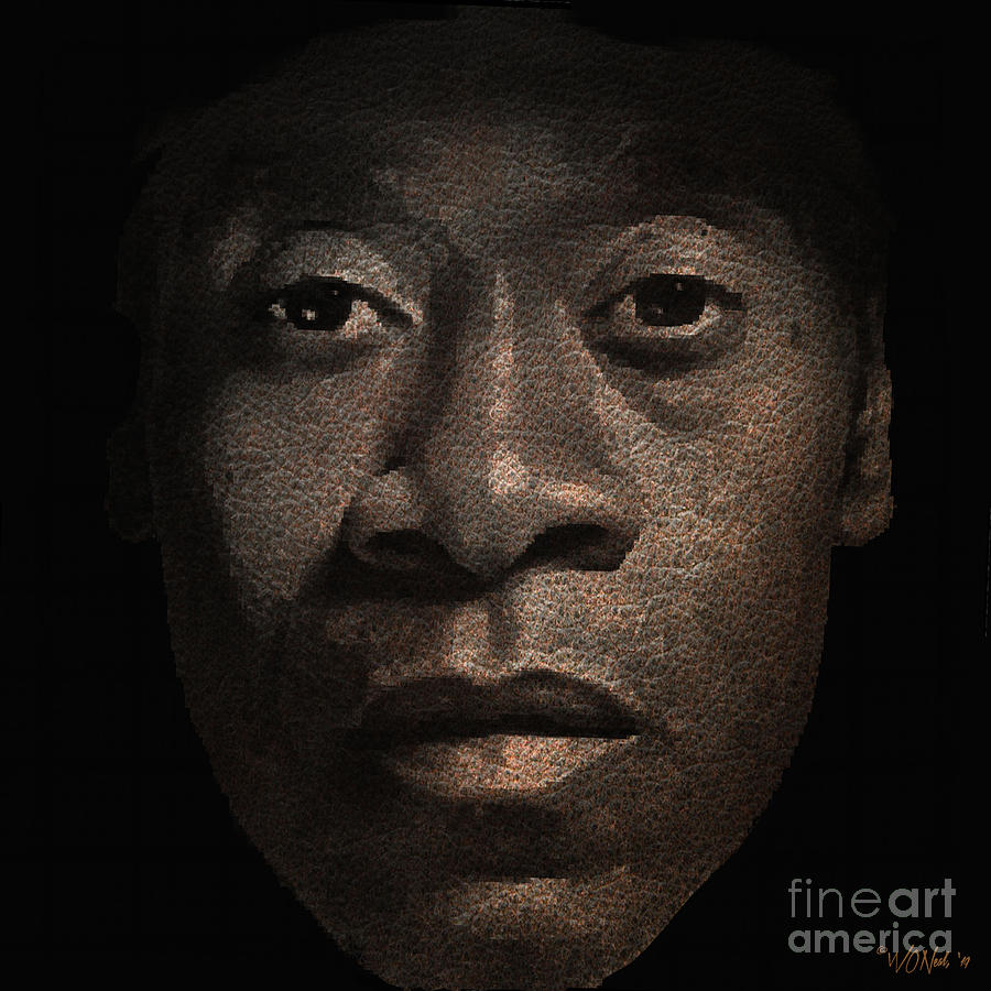 Don Cheadle Digital Art By Walter Neal - Fine Art America