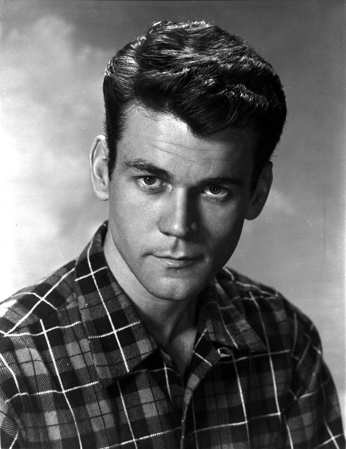 Don Murray Photograph by Movie Star News - Fine Art America