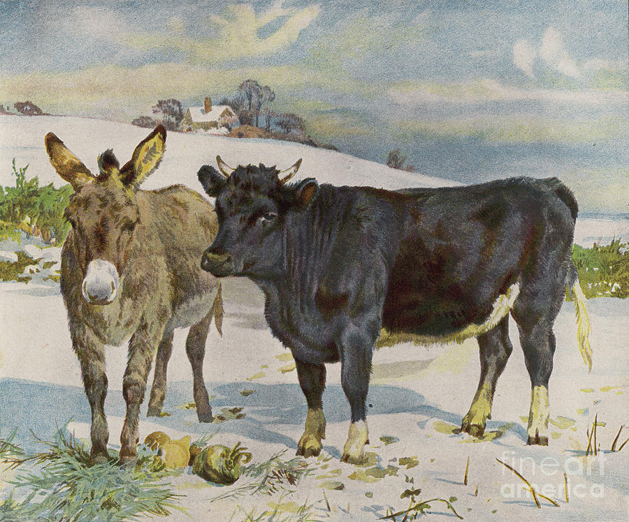Donkey And Cow In The Snow Painting By English School
