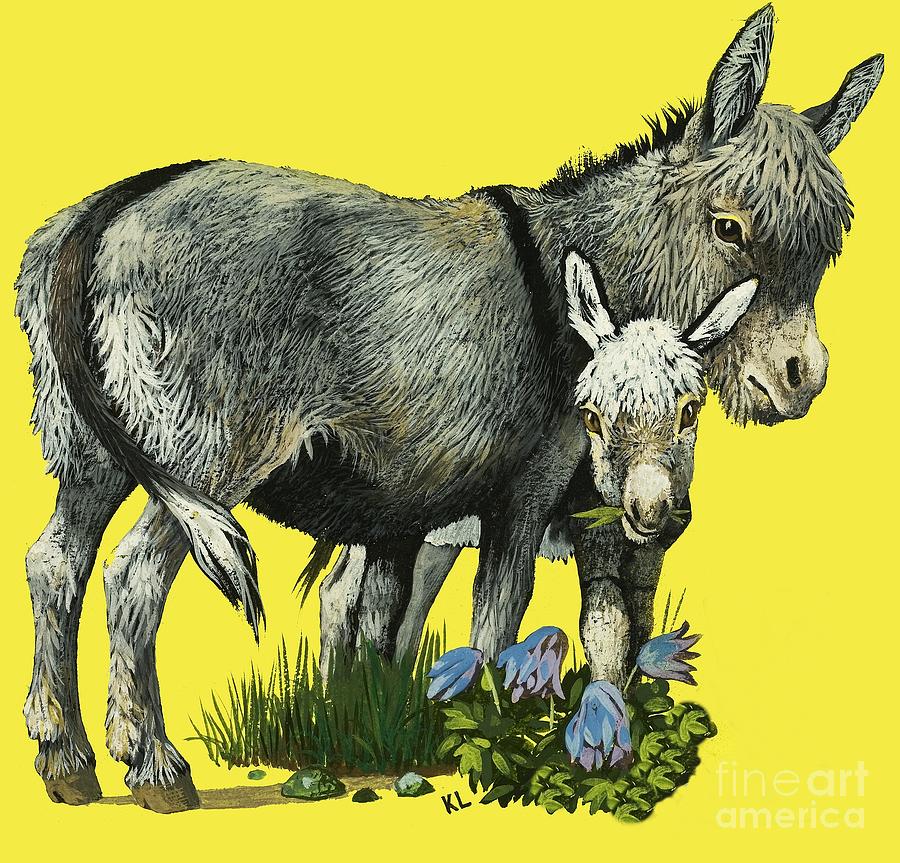 Donkey And Donkey Foal Painting by English School