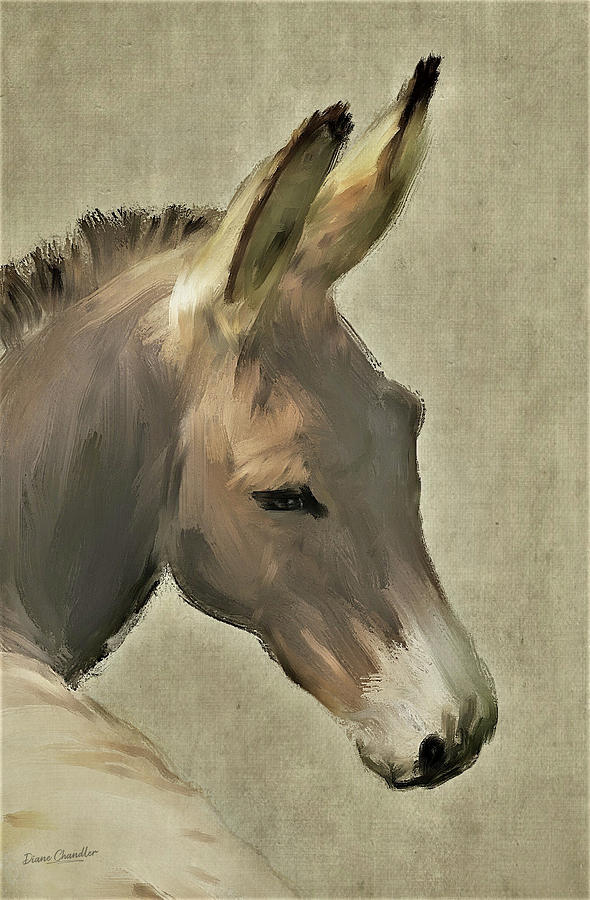 Donkey Painting by Diane Chandler