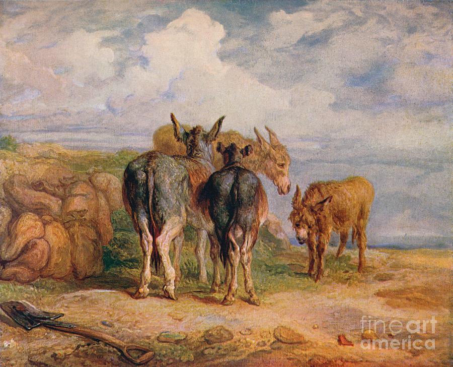 Donkeys, C1831 1904 Drawing by Print Collector