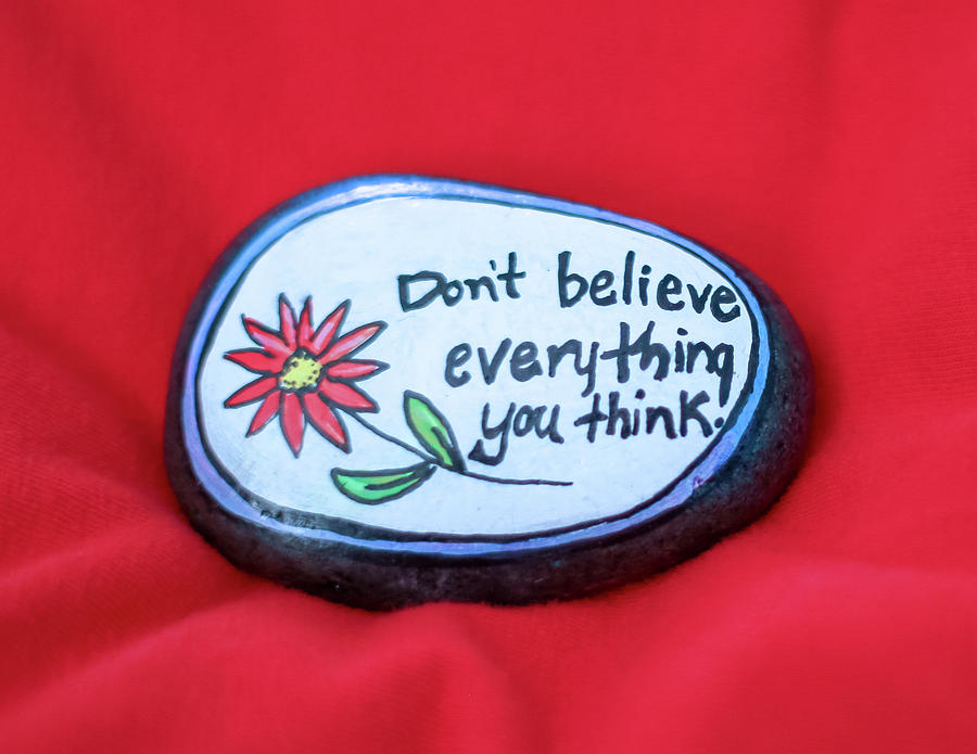 Flowers Still Life Photograph - Dont Believe Everything You Think Painted Rock by Laura Smith