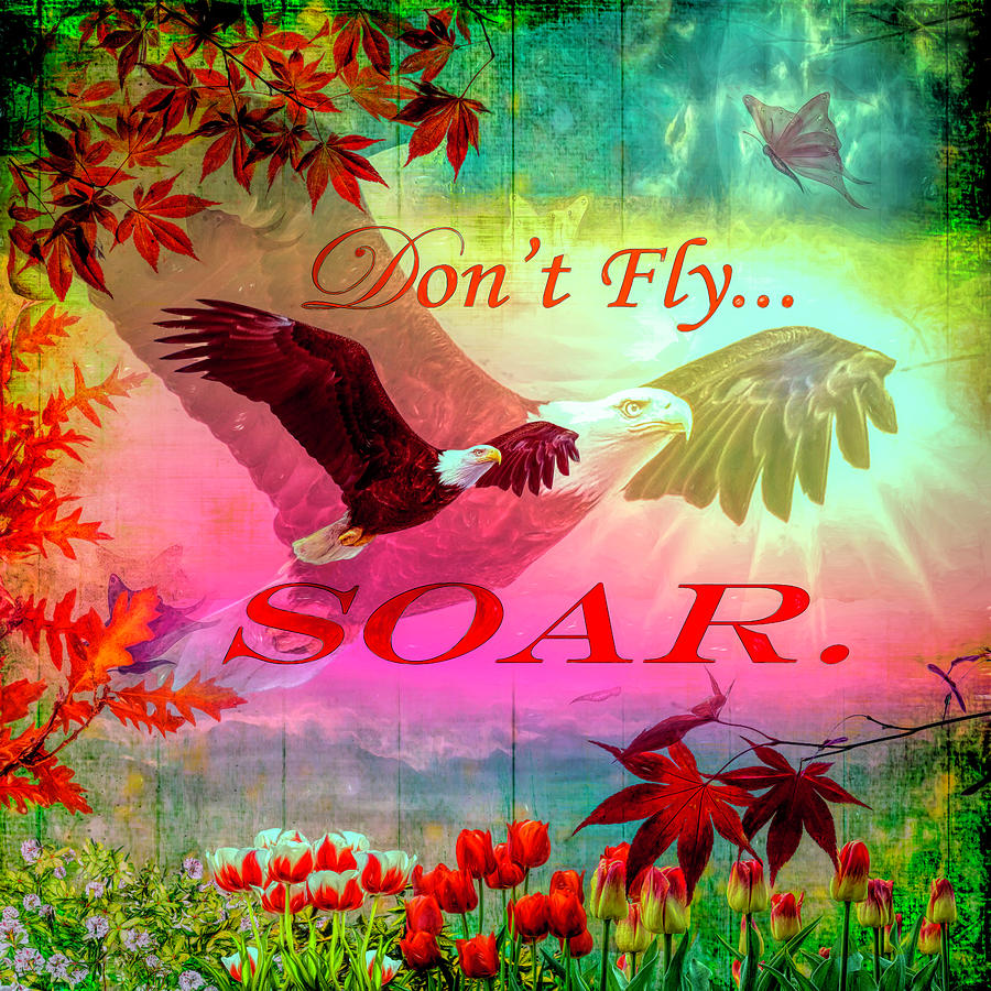 Dont Fly, Soar Photograph by Debra and Dave Vanderlaan