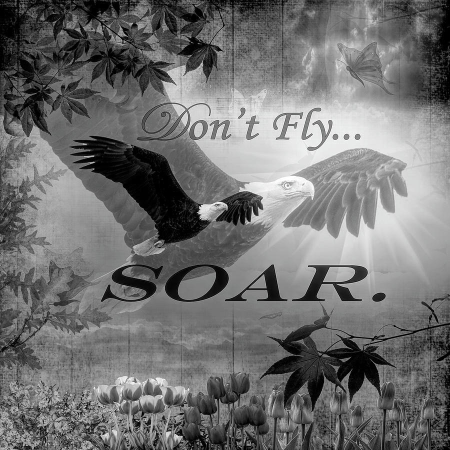 Dont Fly, Soar in Black and White  Digital Art by Debra and Dave Vanderlaan