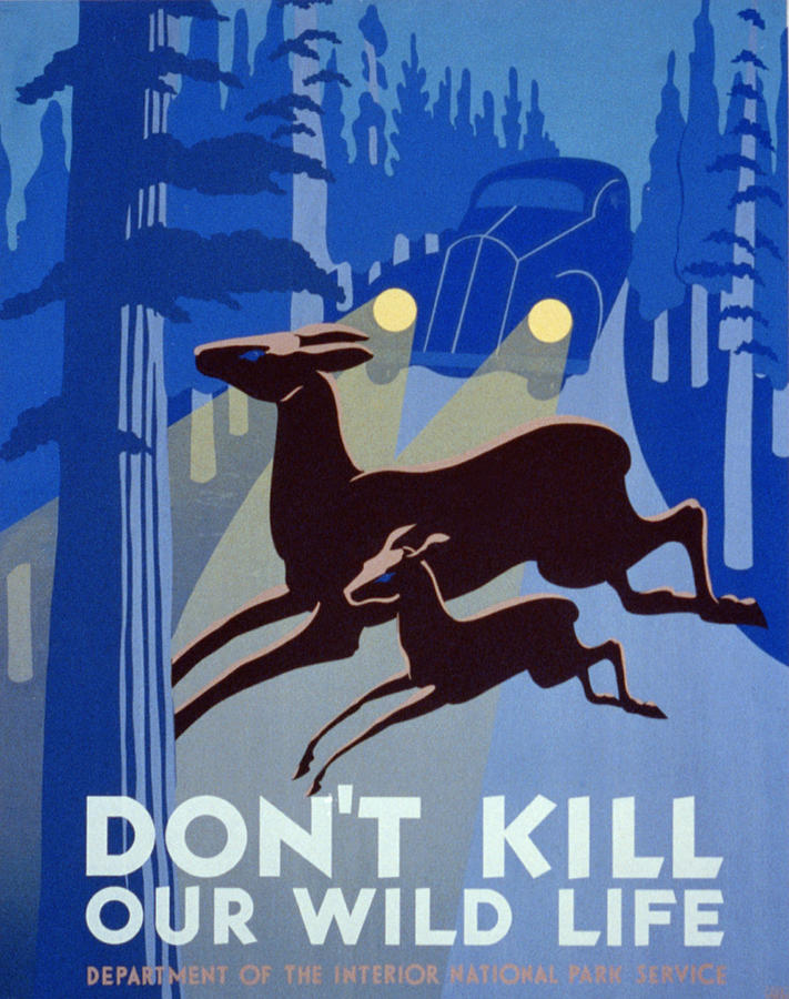 Dont Kill Our Wildlife Painting by Vintage Pix