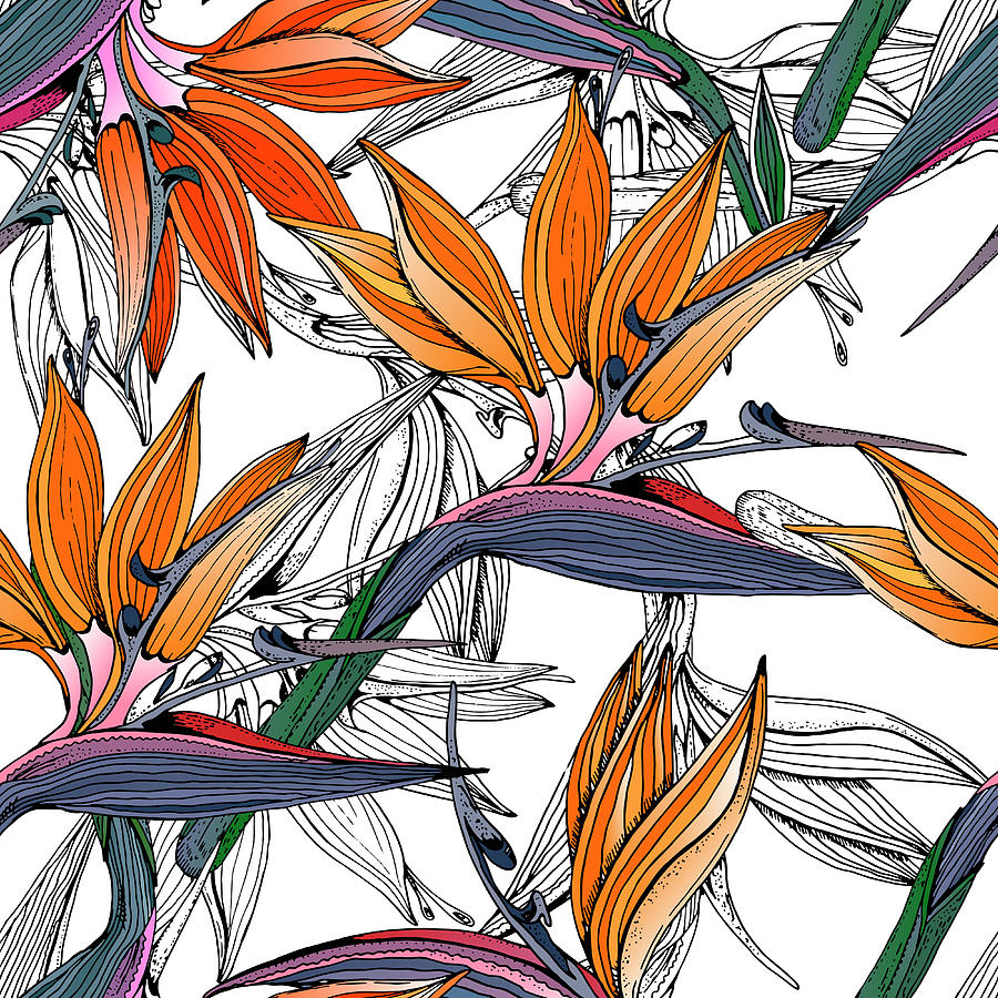 Download Doodle floral tropical background in vector with doodles ...