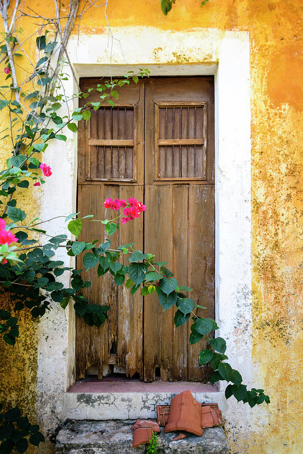 Door Of An Old Abandoned Yellow Photograph by Ogphoto - Fine Art America