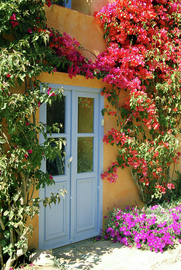 Door To A Fairytale House Photograph by Nikitje