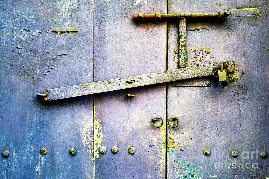 Doors of India - Blue Door Detail 3 Photograph by M G Whittingham