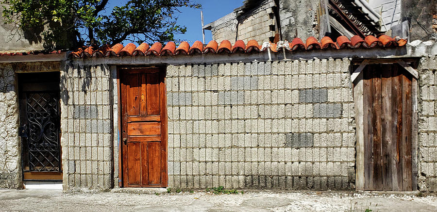 Doors of La Havana Photograph by Elin Skov Vaeth