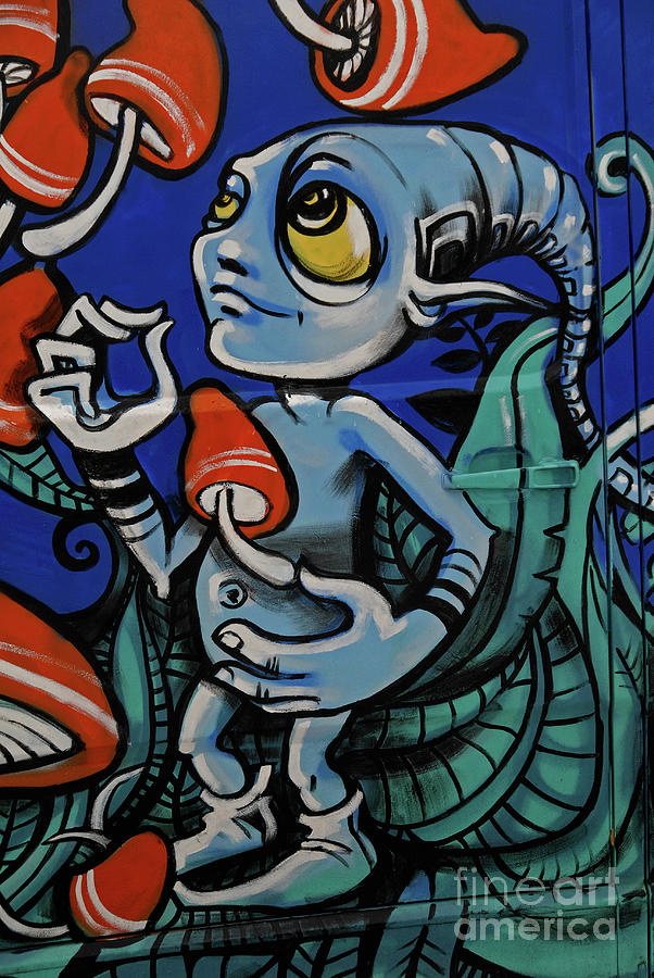 Pixie With Red Magic Mushrooms Psychedelic Art On Side Of Hippy Van Strasbourg Alsace France