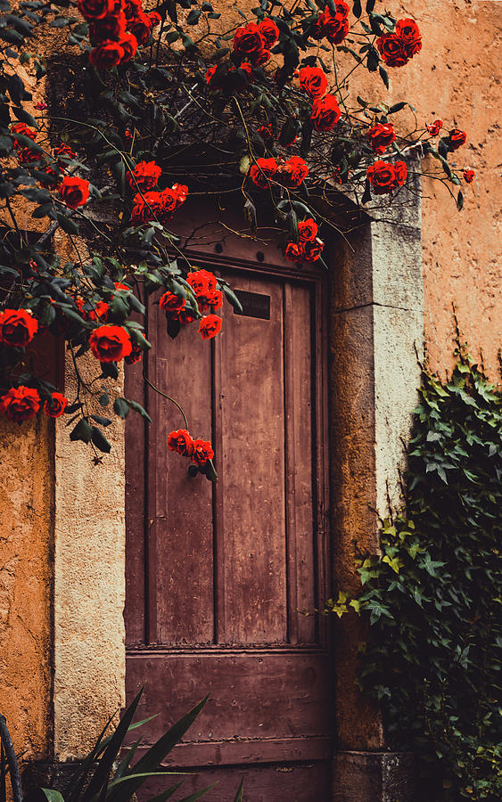 Doorway, Valbonne. France Photograph by Maggie Mccall
