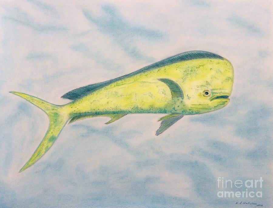 Dorado Fish Pastel By Natalia Wallwork