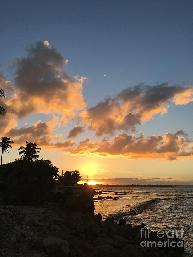 Dorado, Puerto Rico by The Art of Alice Terrill Dorado, Puerto Rico by The Art of Alice Terrill