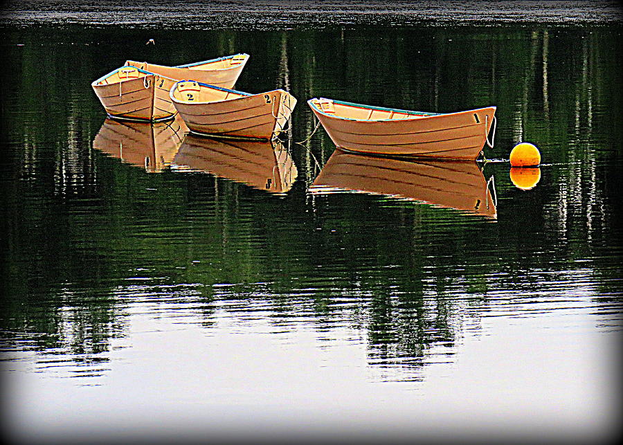 Dories in Green Photograph by Suzanne DeGeorge