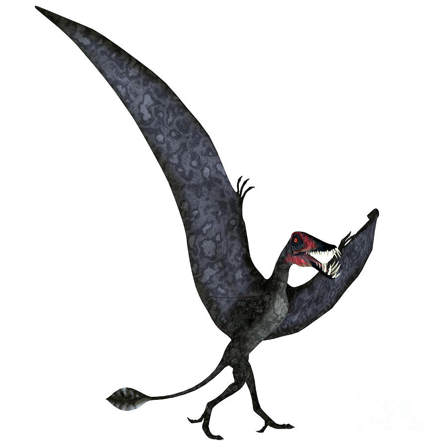 Dorygnathus Pterosaur on Ground Digital Art by Corey Ford