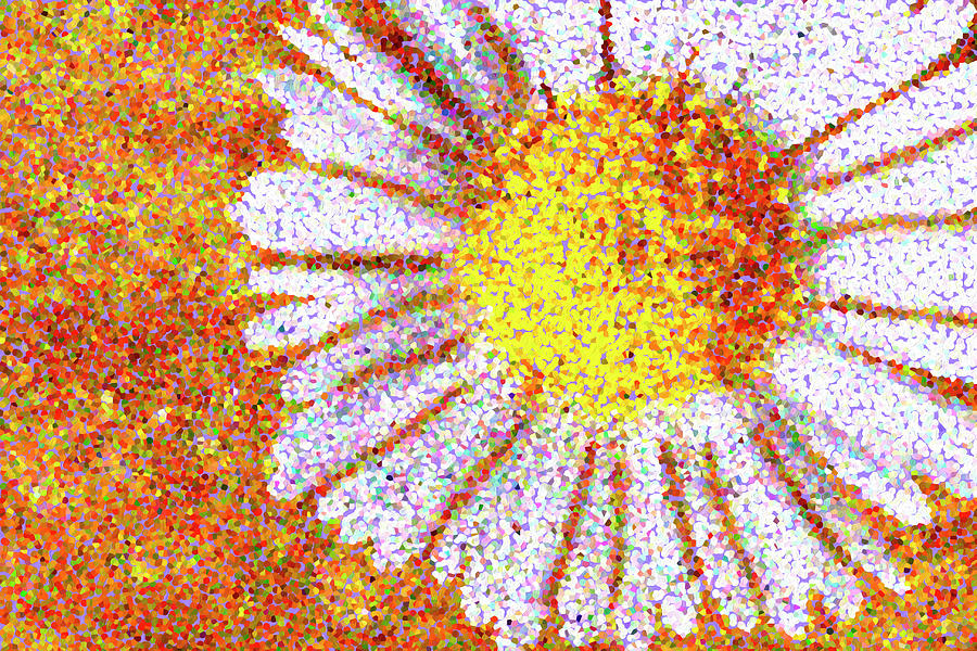 Dots for Daisies Photograph by Vanessa Thomas