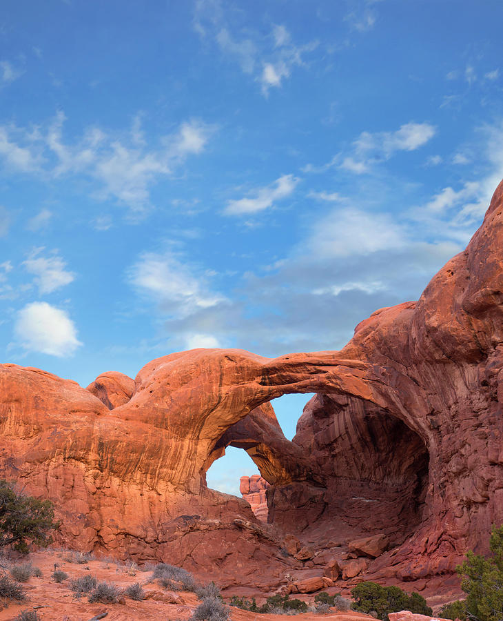 Double Arch, Arches National Park, Utah Photograph by Tim Fitzharris