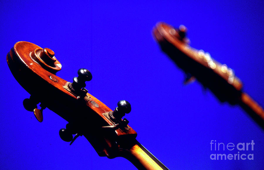 Double Bass Heads Against Blue Sky. Showing The Scroll And Peg Box. Photograph by 